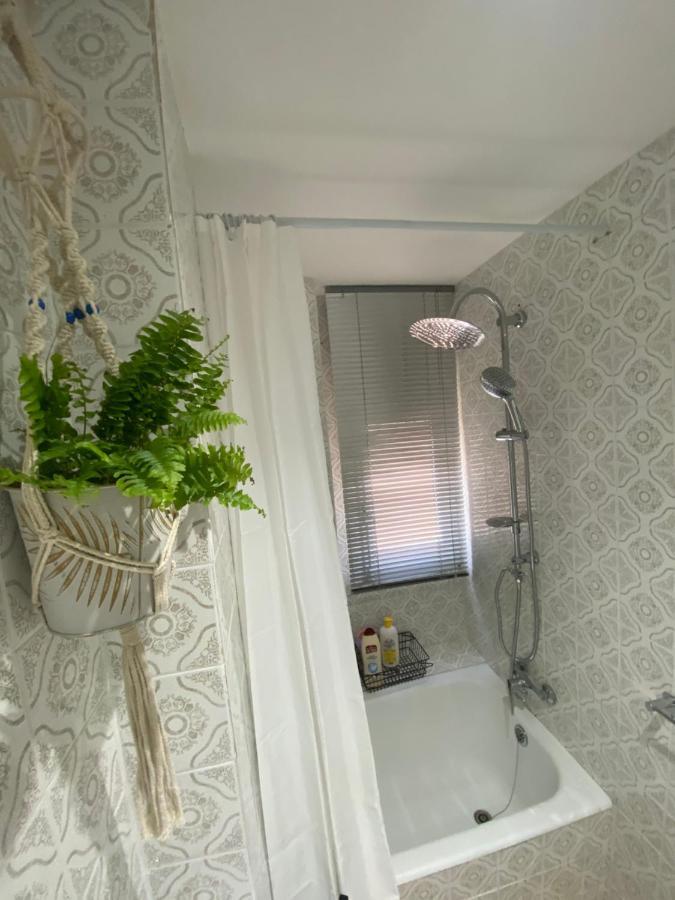 Апартаменти Apartamento Cebra Сарагоса Екстер'єр фото